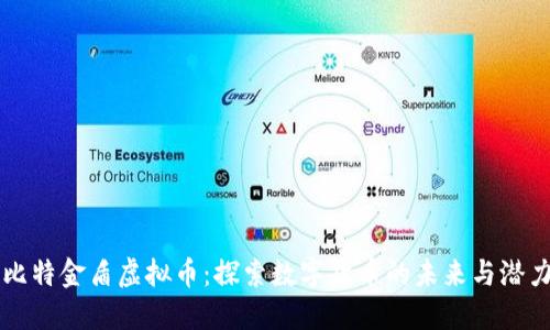 比特金盾虚拟币：探索数字货币的未来与潜力