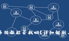 TP钱包充币错误能否找回？详细解析与解决方案