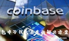 : TP钱包中子钱包丢失的解决方案与建议