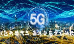 : 探索T P钱包的替代品：最适合您需求的数字钱包