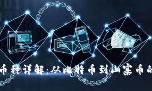 虚拟货币币种详解：从比特币到山寨币的全景分析