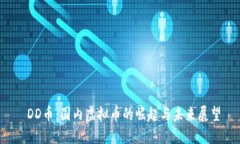  DD币：国内虚拟币的崛起与未来展望