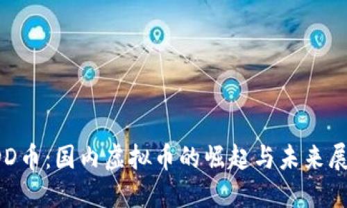  DD币：国内虚拟币的崛起与未来展望
