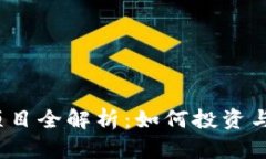 2023年虚拟币一级市场项目全解析：如何投资与选