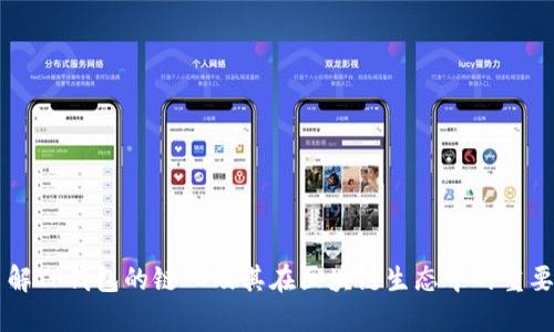 了解TP钱包的链ID及其在区块链生态中的重要性