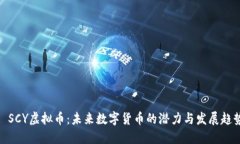: SCY虚拟币：未来数字货币的潜力与发展趋势
