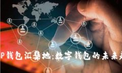全面解析TP钱包汇集地：数字钱包的未来趋势与应