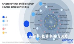 DHX虚拟币全面解析：投资机遇与风险
