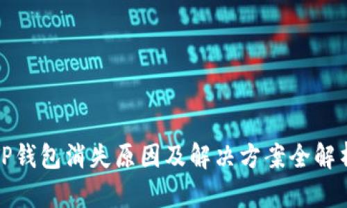 TP钱包消失原因及解决方案全解析