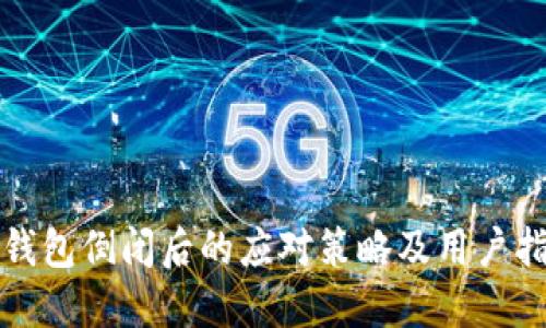 TP钱包倒闭后的应对策略及用户指南