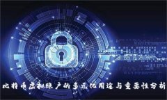 比特币虚拟账户的多元化用途与重要性分析