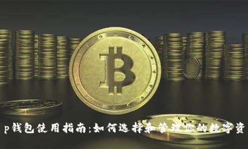 t p钱包使用指南：如何选择和管理你的数字资产
