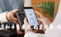 全面解析虚拟币资本方：投资趋势、风险与机遇
