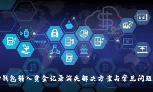 : TP钱包转入资金记录消失解决方案与常见问题解析