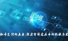 虚拟币支付的未来：深度分析龙头币的现状与发