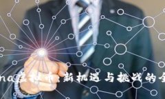 ACCChina虚拟币：新机遇与挑战的全面解析
