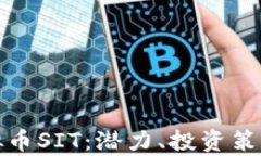 全面解析虚拟币SIT：潜力、投资策略与市场前景