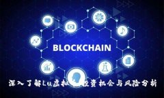 深入了解Lu虚拟币：投资机会与风险分析